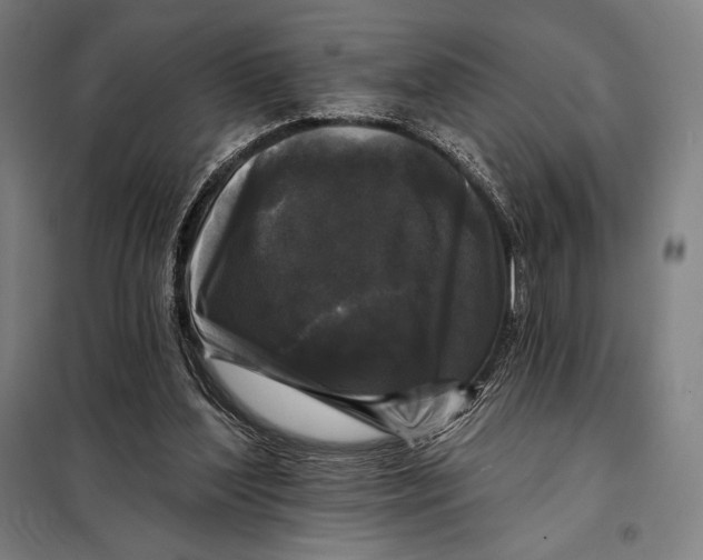 X0000097890204200804041318