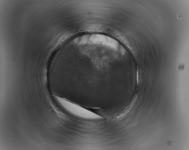 X0000097890205200804041318