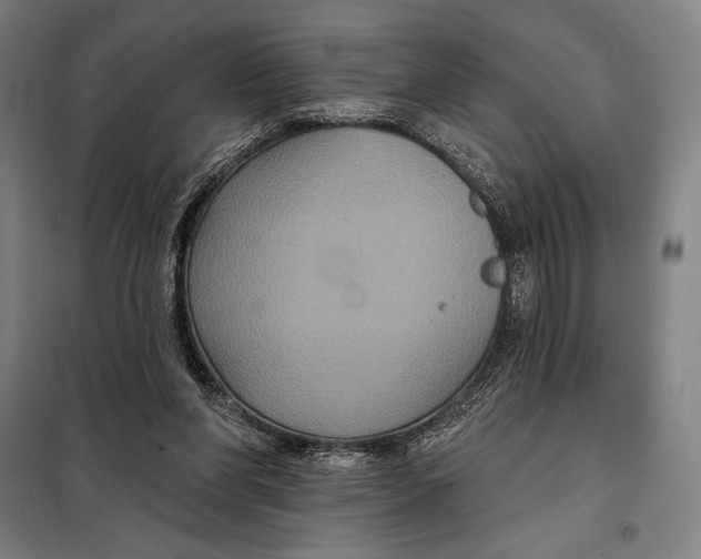 X0000097890206200804041318