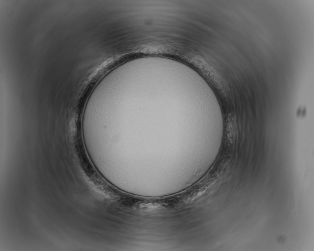 X0000097890208200804041318