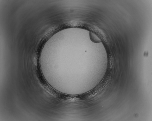 X0000097890210200804041318