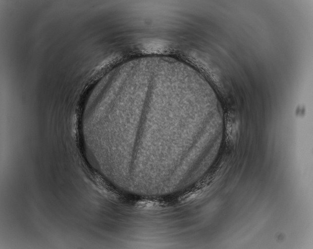 X0000097890211200804041318