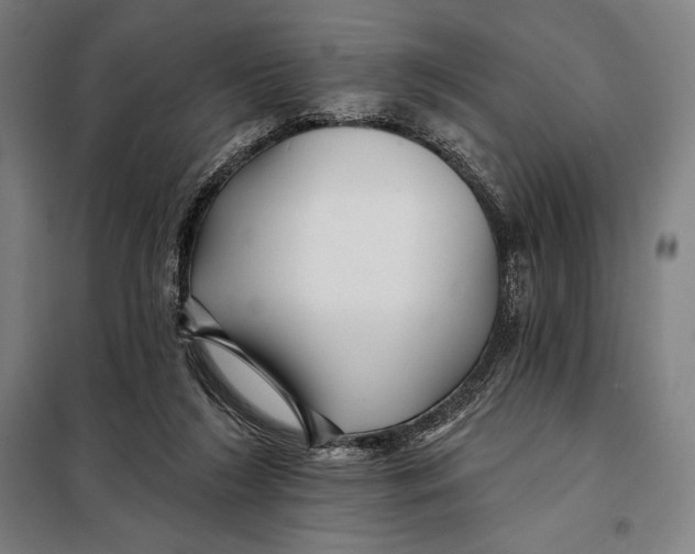 X0000097890212200804041318