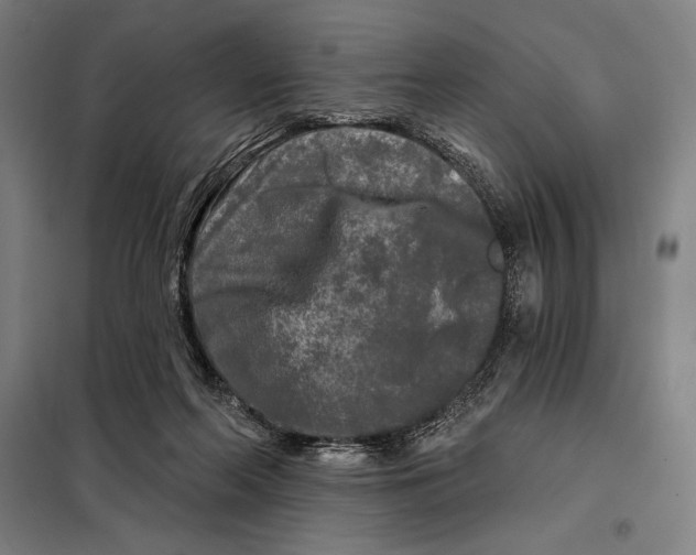 X0000097890214200804041318