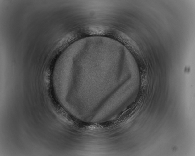 X0000097890215200804041318