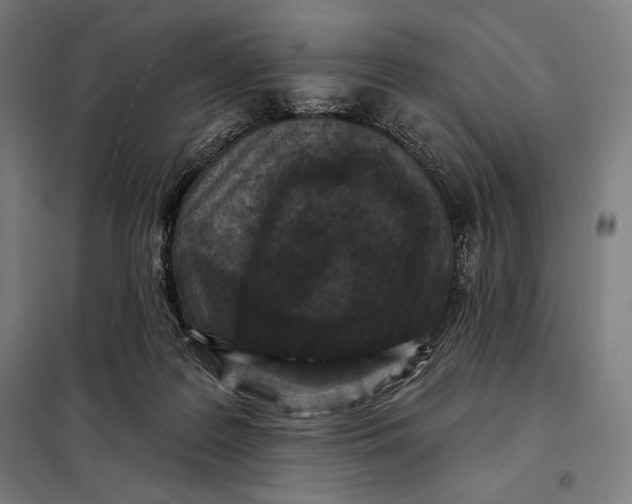 X0000097890219200804041318