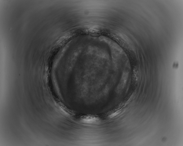 X0000097890223200804041318