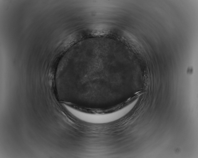 X0000097890227200804041318