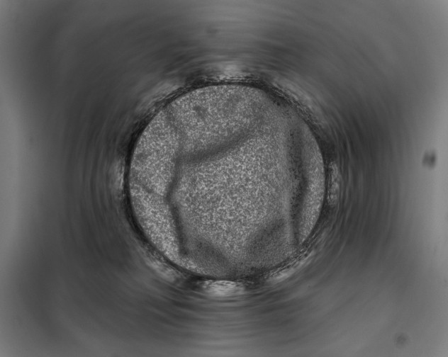 X0000097890230200804041318