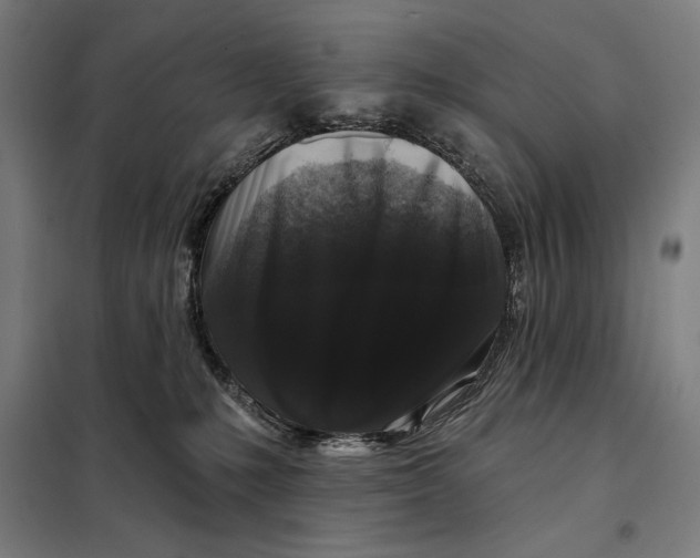 X0000097890231200804041318