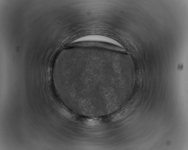 X0000097890232200804041318