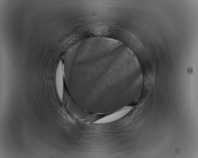 X0000097890233200804041318