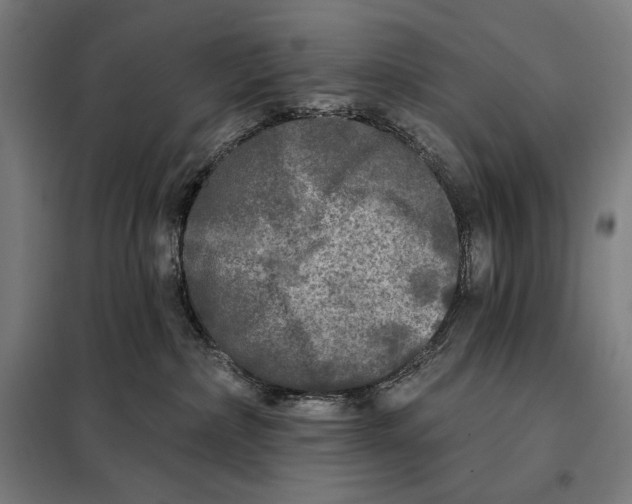 X0000097890236200804041318