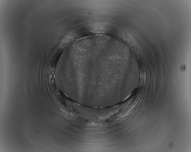 X0000097890237200804041318