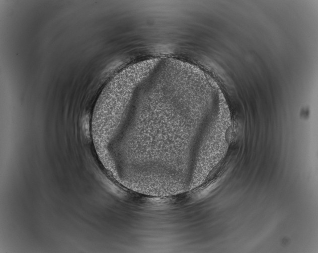 X0000097890238200804041318