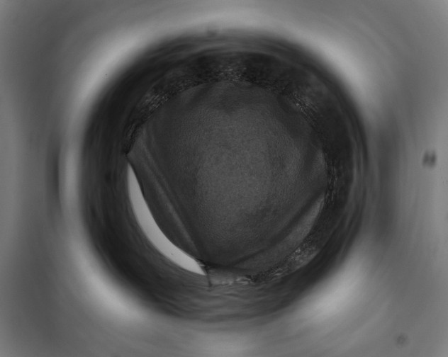 X0000097890239200804041318