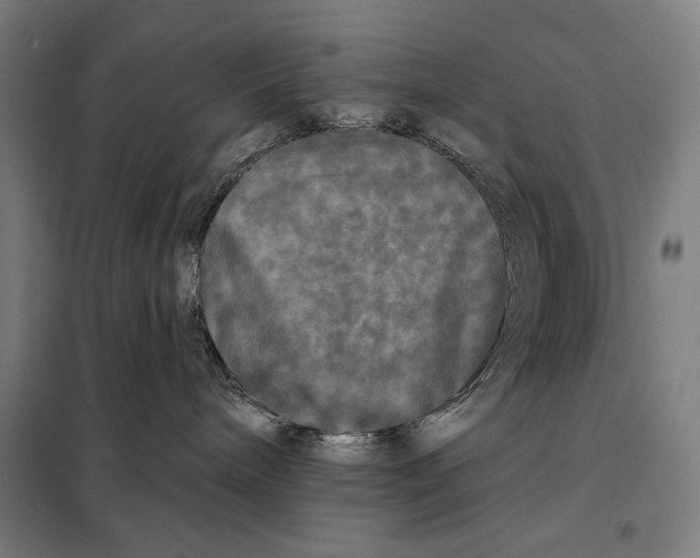 X0000097890240200804041318