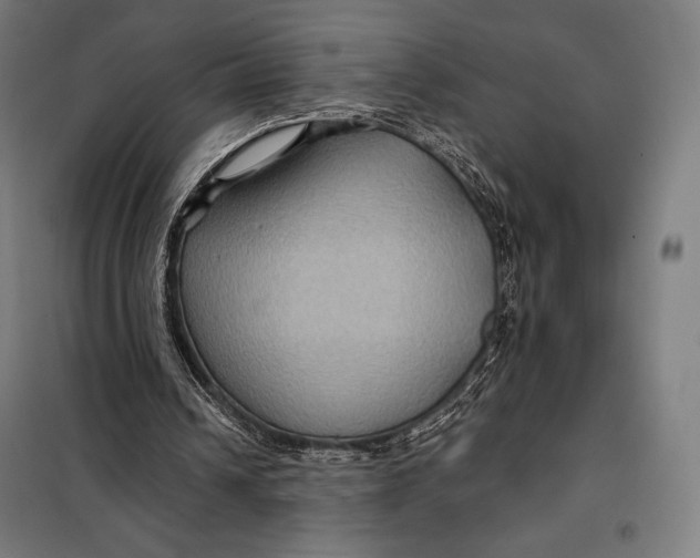 X0000097890242200804041317