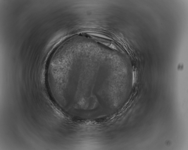 X0000097890243200804041317