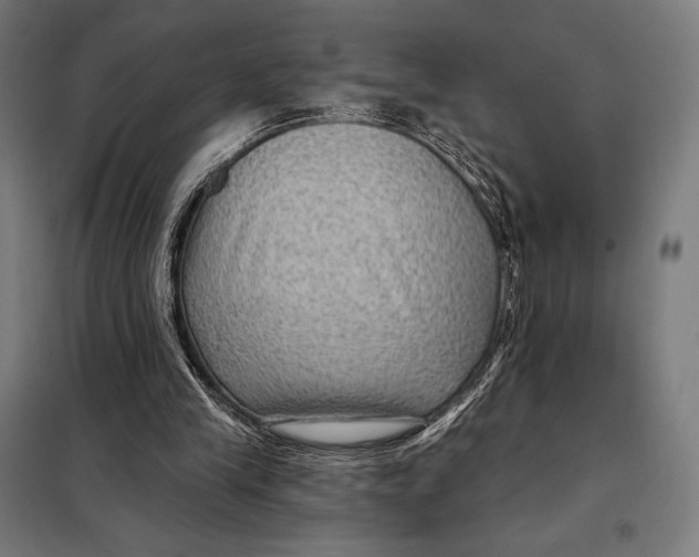 X0000097890245200804041317