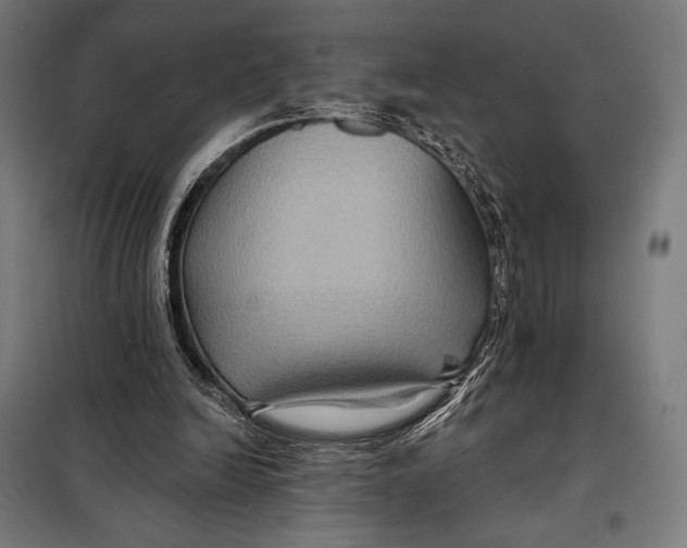 X0000097890246200804041317