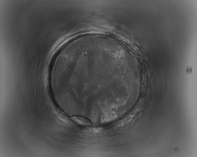 X0000097890247200804041317