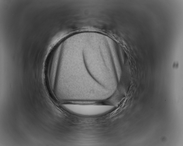 X0000097890248200804041317