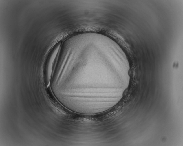 X0000097890250200804041317