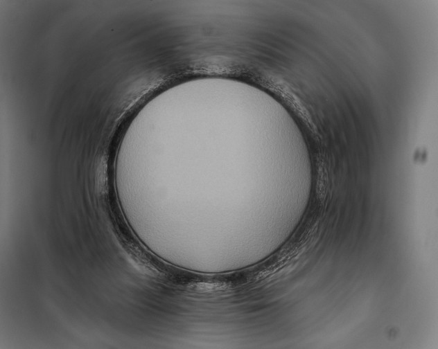 X0000097890251200804041317