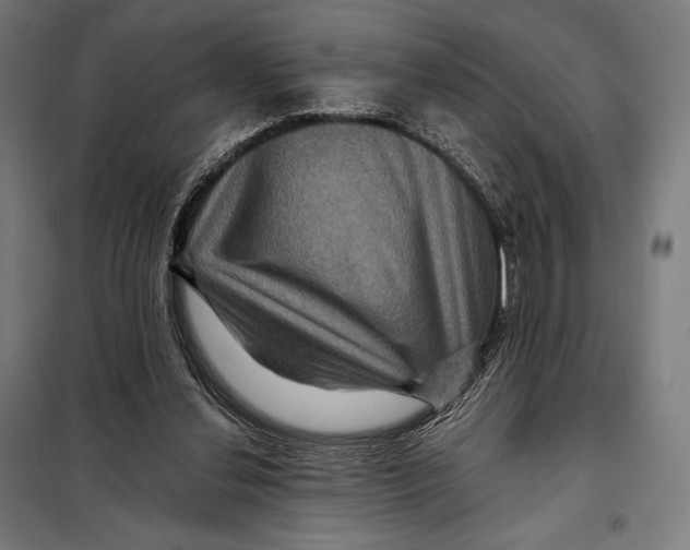 X0000097890252200804041317