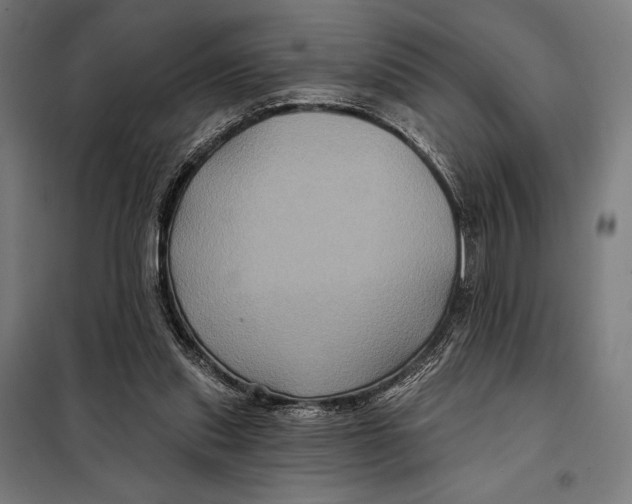 X0000097890253200804041317