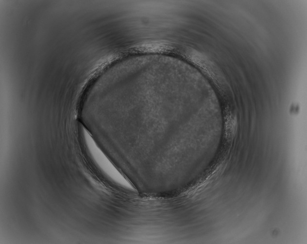 X0000097890254200804041317