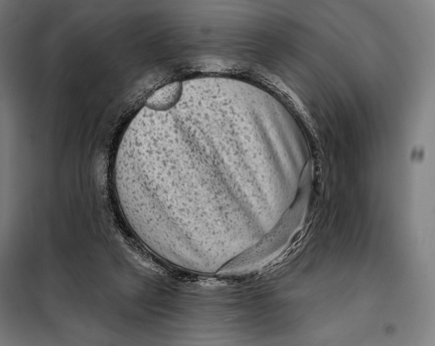 X0000097890257200804041317