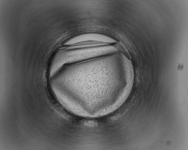 X0000097890258200804041317