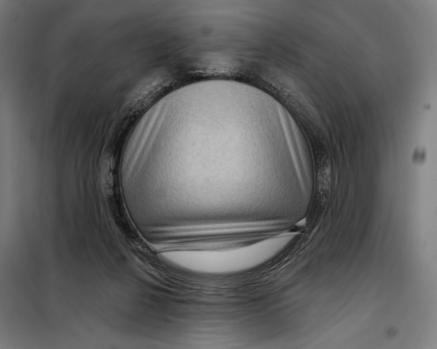 X0000097890264200804041317