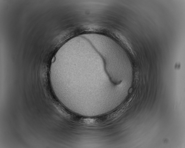 X0000097890265200804041317