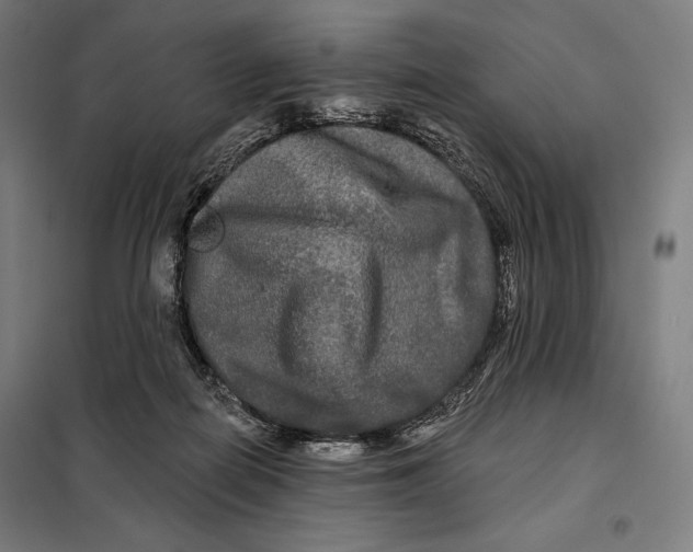 X0000097890266200804041317