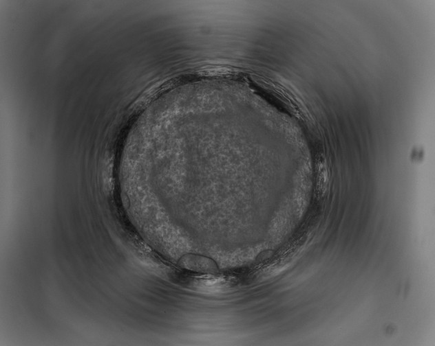 X0000097890267200804041317