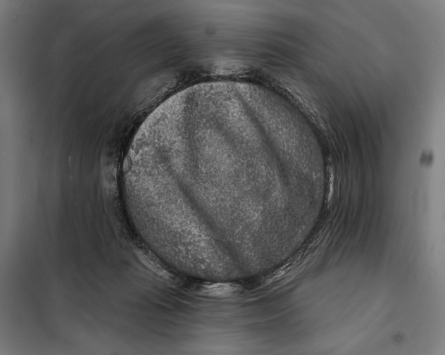 X0000097890269200804041317