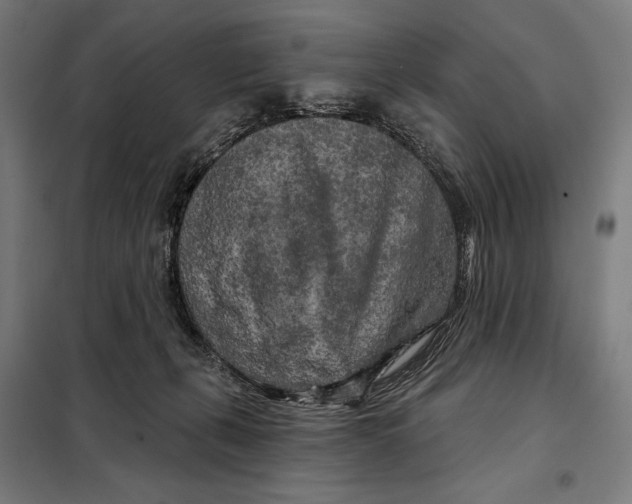 X0000097890271200804041317