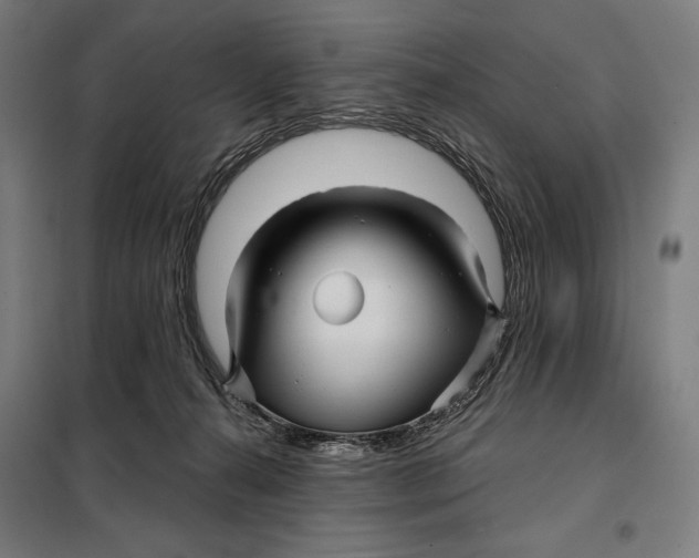 X0000097890272200804041317