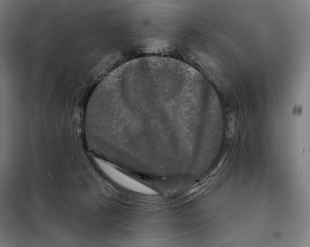 X0000097890273200804041317