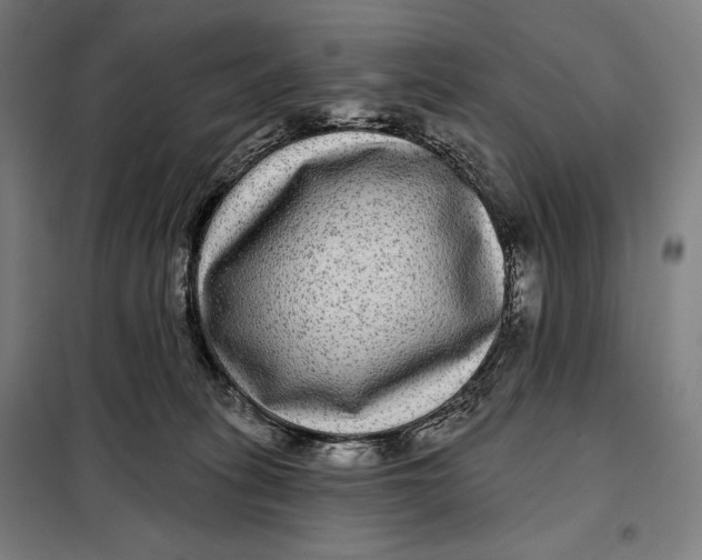 X0000097890275200804041317