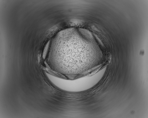 X0000097890276200804041317