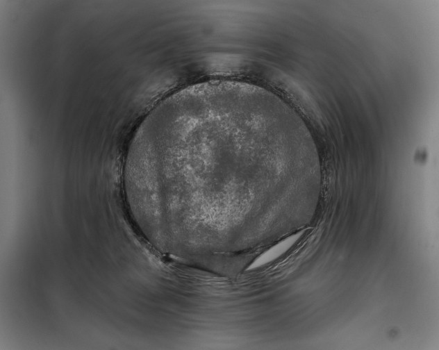 X0000097890277200804041317