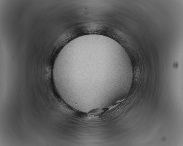 X0000097890278200804041317