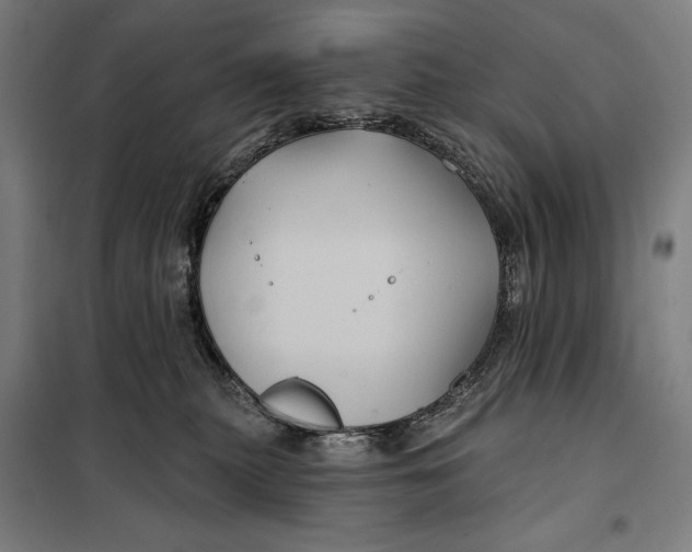 X0000097890279200804041317