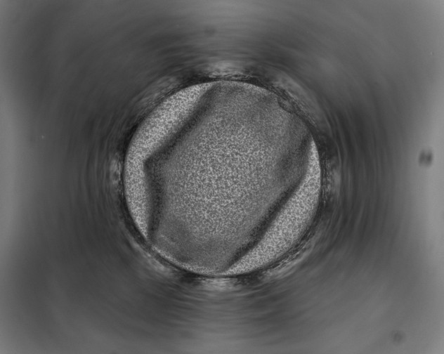 X0000097890281200804041317