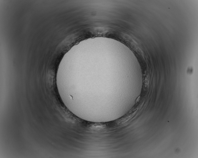 X0000097890283200804041317