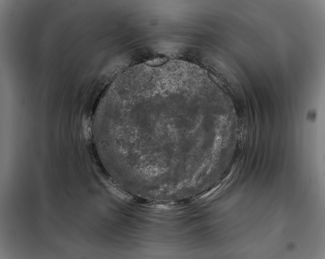 X0000097890285200804041318